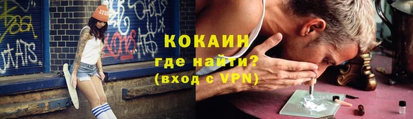 крисы Алзамай