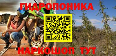 apvp Кингисепп