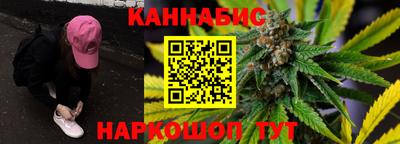 apvp Кингисепп