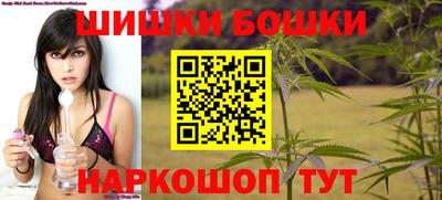 apvp Кингисепп