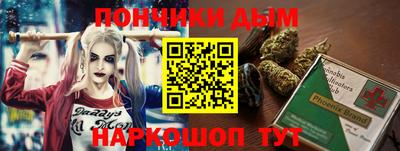 apvp Кингисепп