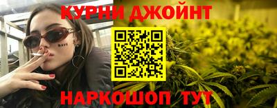 apvp Кингисепп